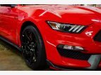 Thumbnail Photo 15 for 2016 Ford Mustang Shelby GT350 Coupe